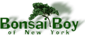 Bonsai Boy of New York logo